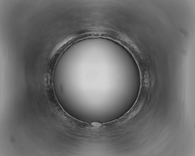 X0000115761352200911131147