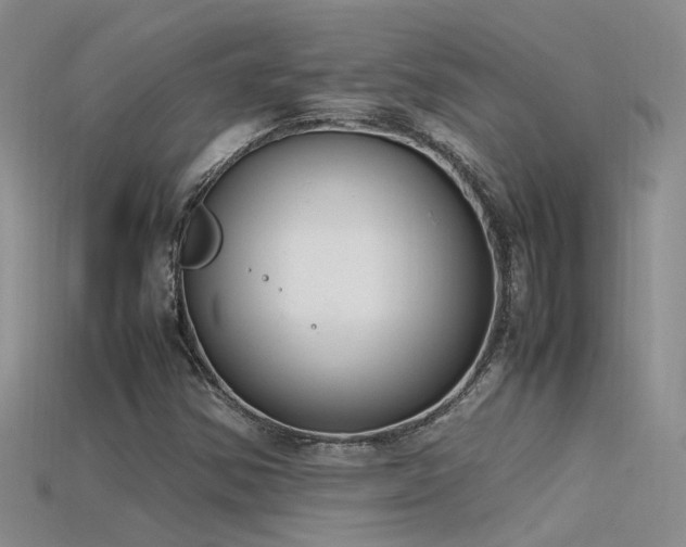 X0000115761354200911131147