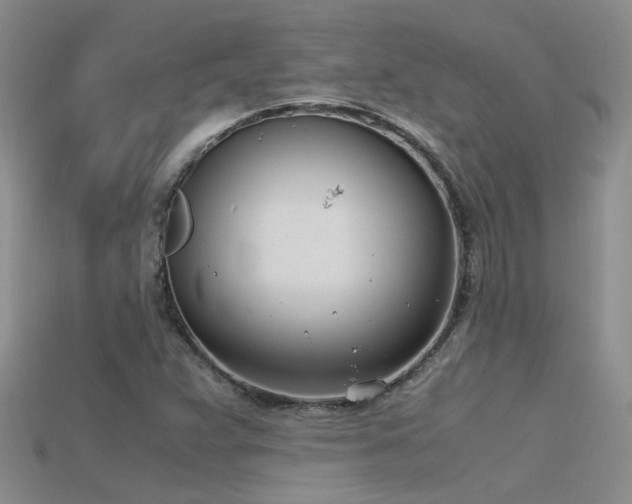 X0000115761359200911131147