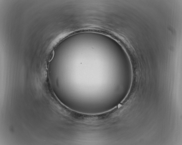 X0000115761363200911131147