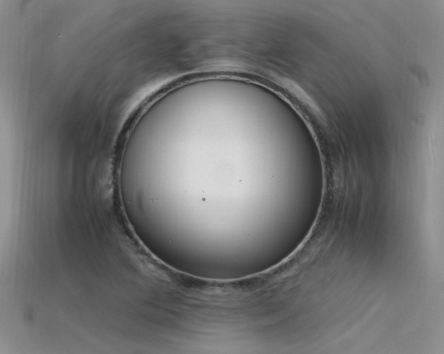 X0000115761364200911131147