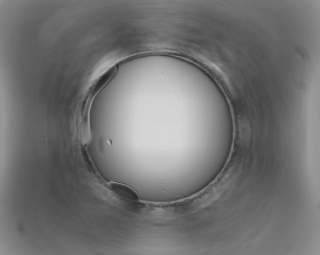 X0000115761365200911131147