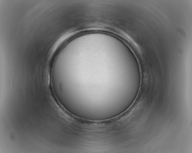 X0000115761368200911131147