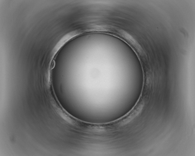 X0000115761370200911131147