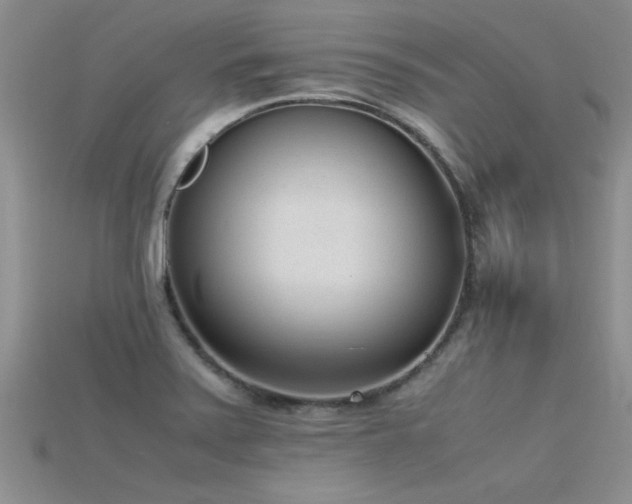 X0000115761371200911131147