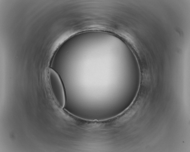 X0000115761373200911131147