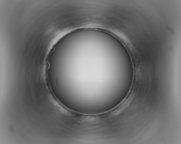 X0000115761374200911131147