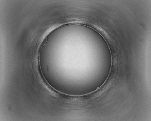 X0000115761375200911131147