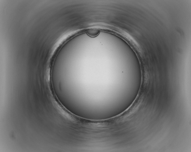 X0000115761376200911131147