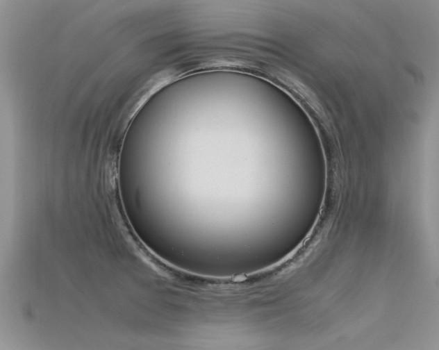 X0000115761377200911131147