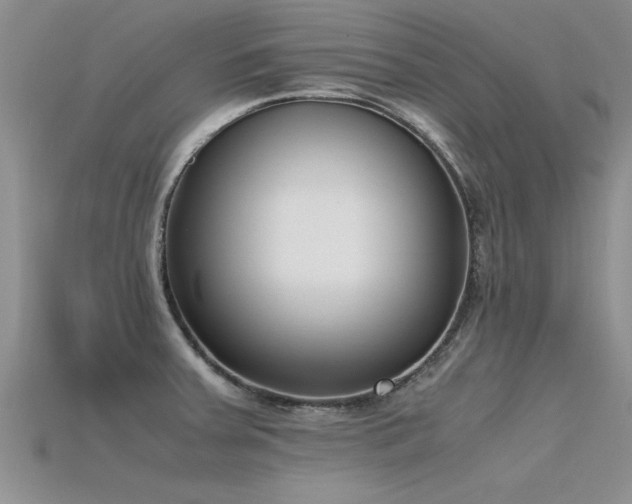 X0000115761379200911131147