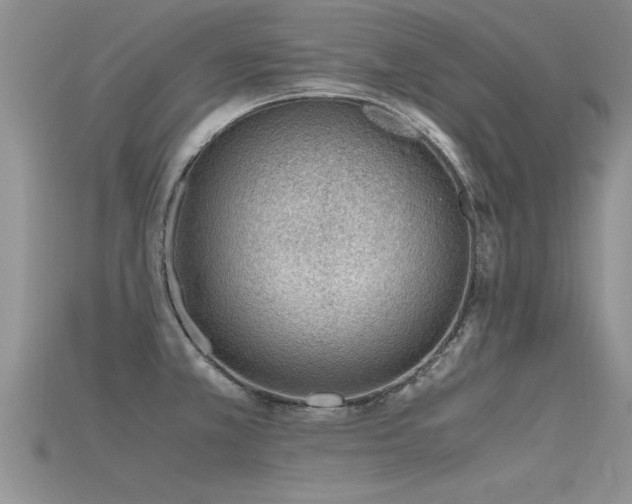 X0000115761381200911131147