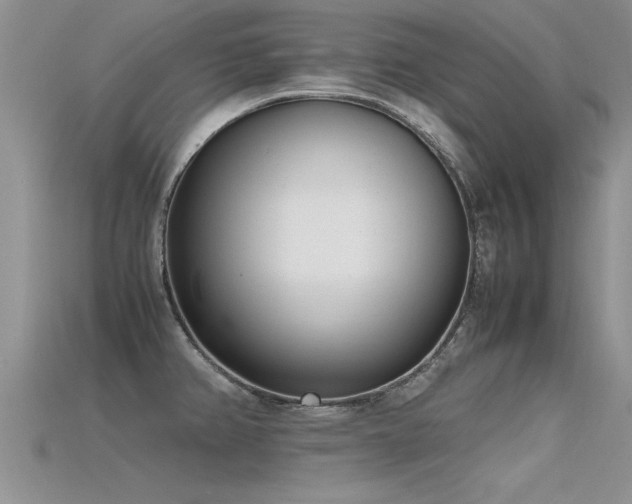 X0000115761382200911131147