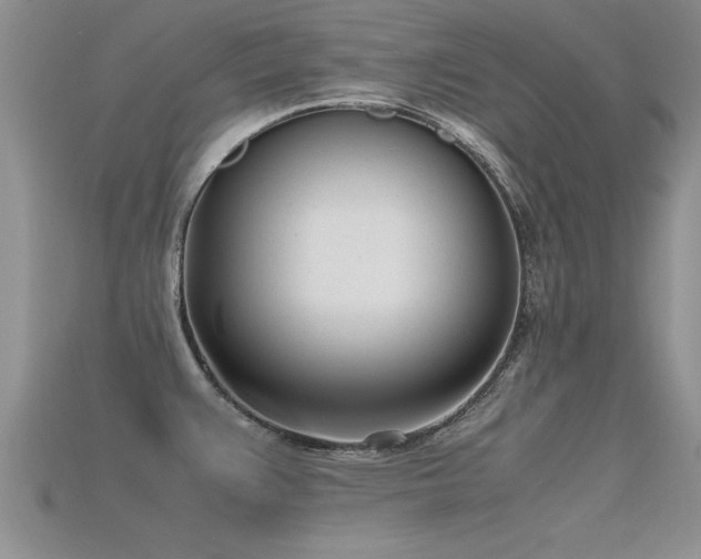 X0000115761383200911131147