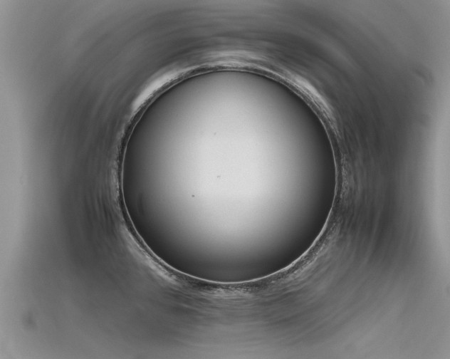 X0000115761384200911131147