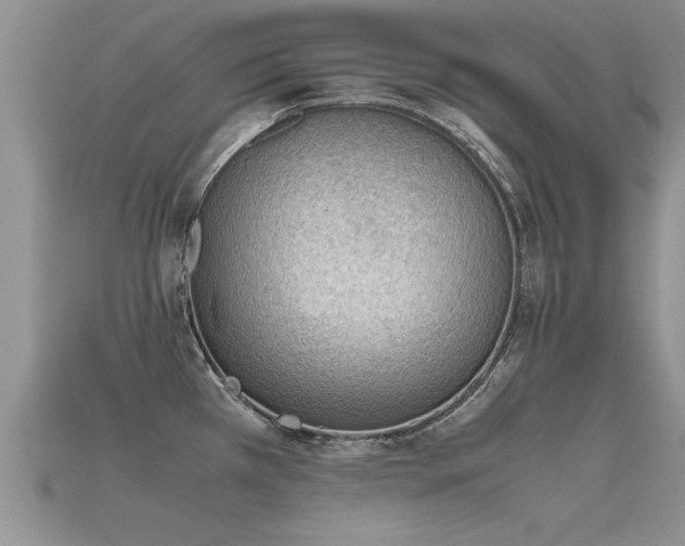 X0000115761385200911131147
