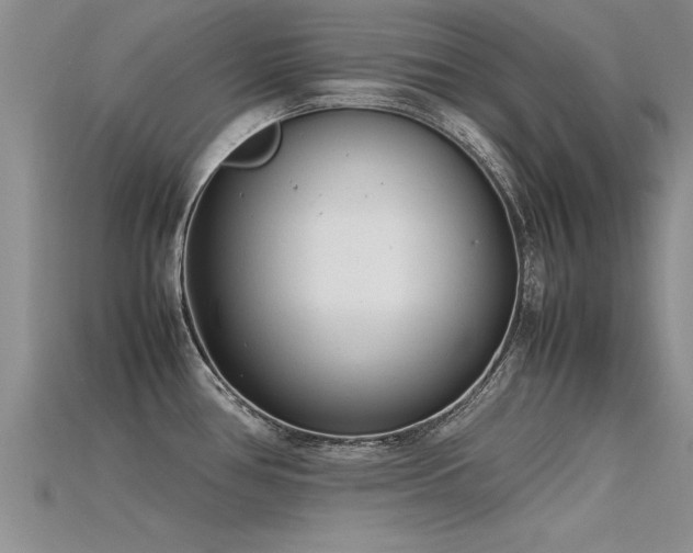 X0000115761386200911131147