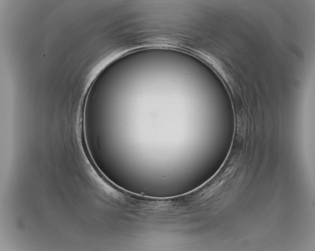 X0000115761387200911131147