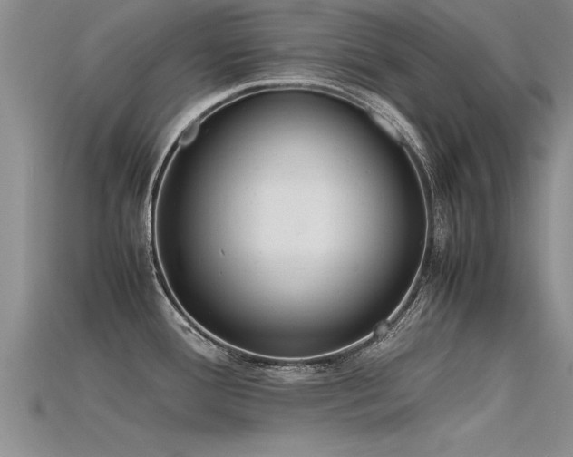X0000115761388200911131147