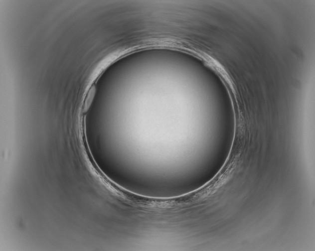 X0000115761389200911131147