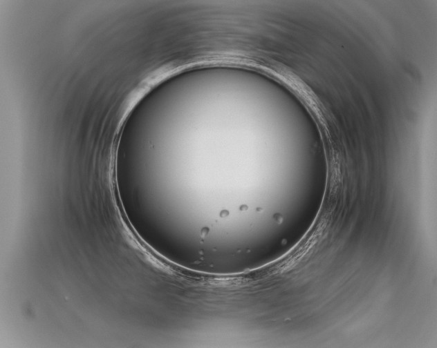 X0000115761390200911131147