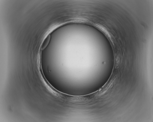 X0000115761391200911131146