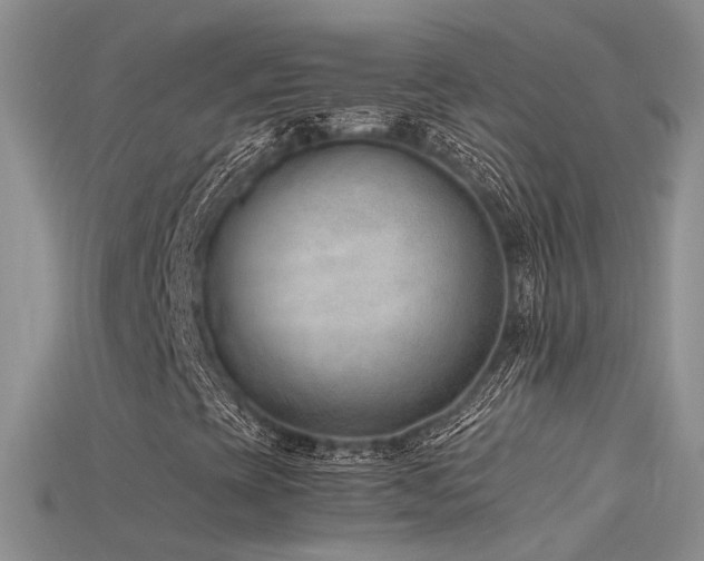 X0000115761393200911131146