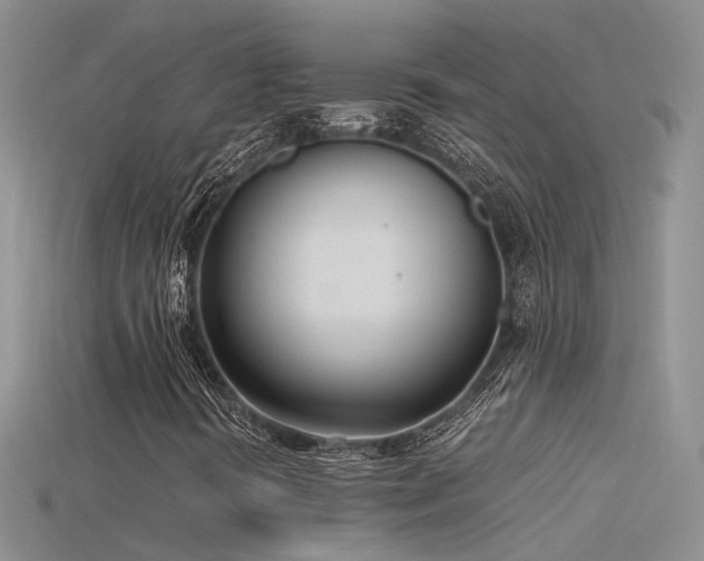 X0000115761394200911131146