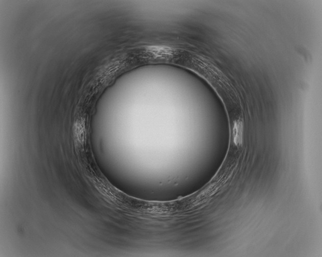 X0000115761395200911131146