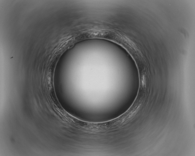 X0000115761396200911131146