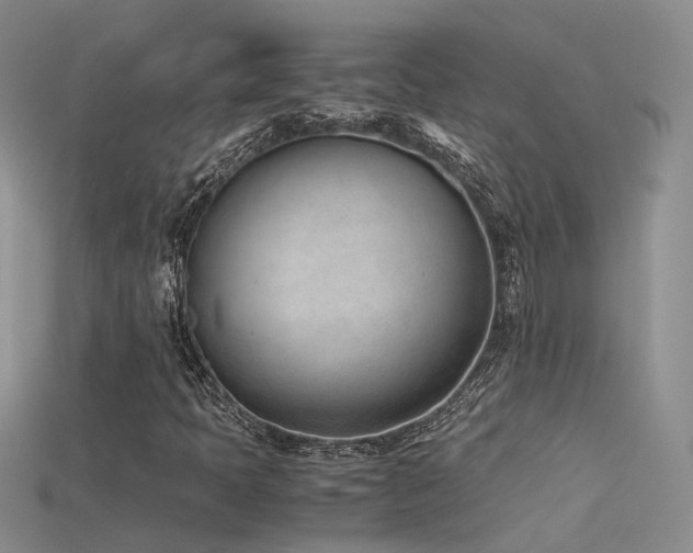 X0000115761397200911131146