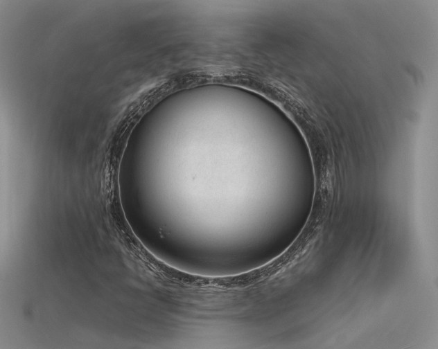 X0000115761398200911131146