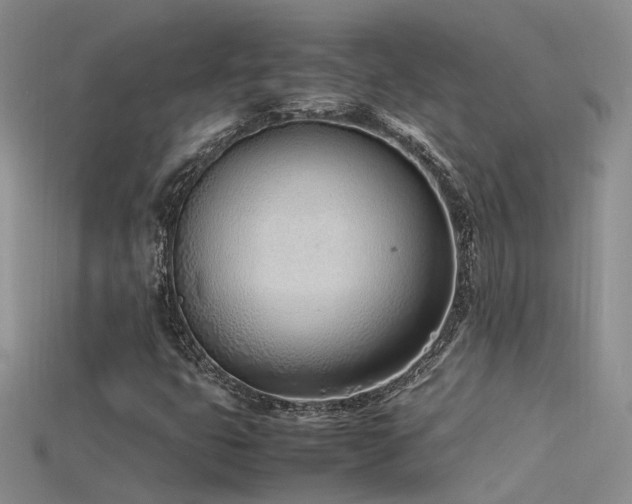 X0000115761399200911131146