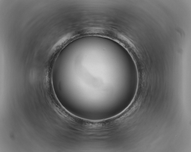 X0000115761403200911131146
