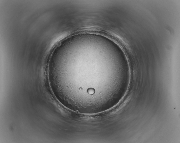 X0000115761405200911131146