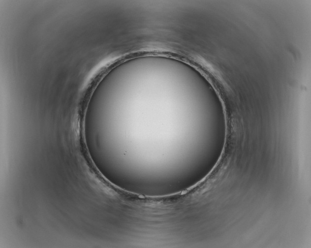 X0000115761408200911131146