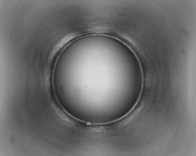 X0000115761410200911131146