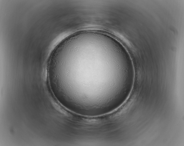 X0000115761413200911131146