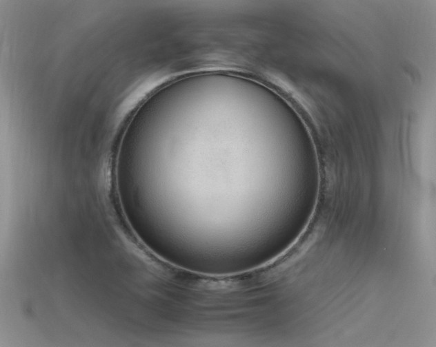 X0000115761415200911131146