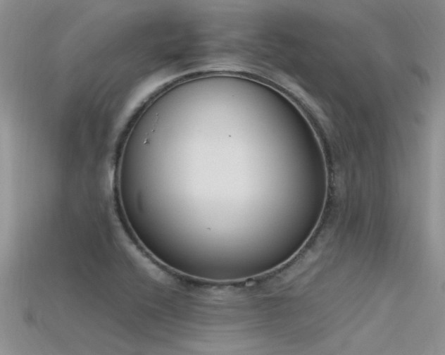 X0000115761416200911131146