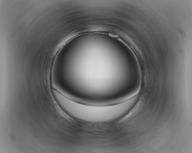 X0000115761417200911131146