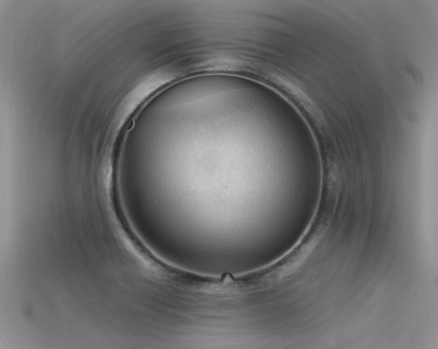 X0000115761418200911131146