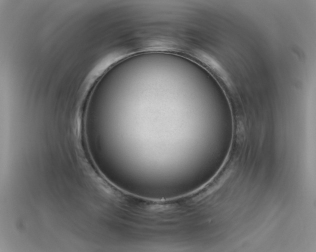 X0000115761419200911131146