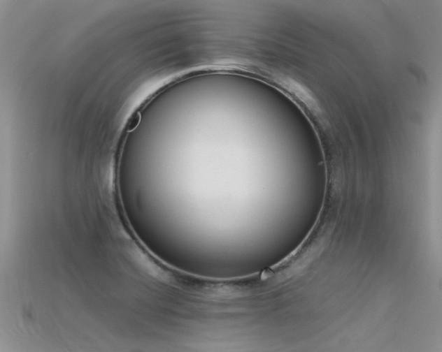 X0000115761420200911131146
