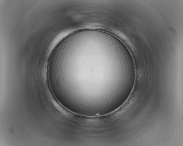 X0000115761421200911131146