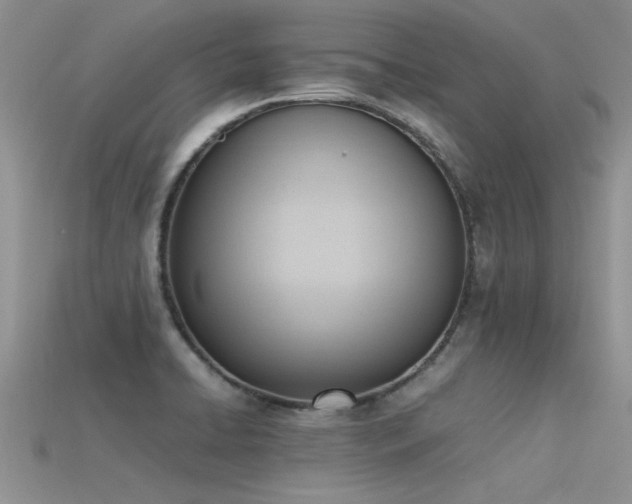 X0000115761422200911131146