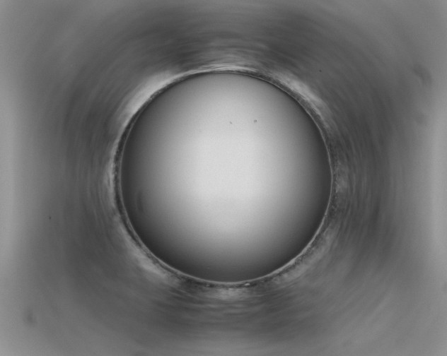 X0000115761423200911131146