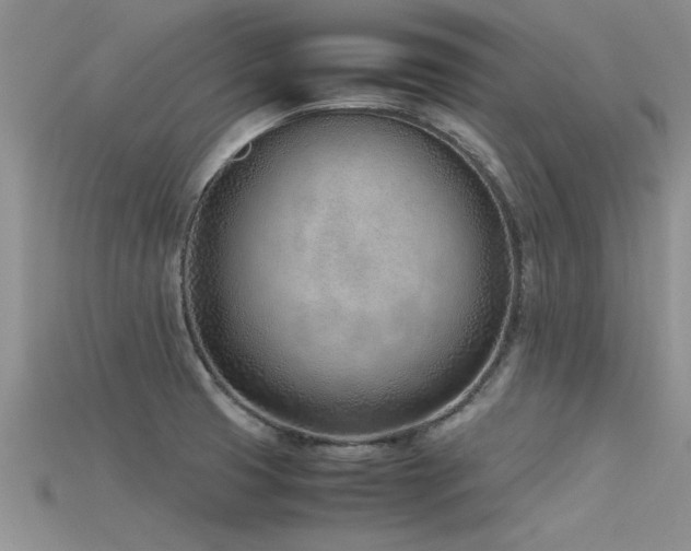 X0000115761425200911131146