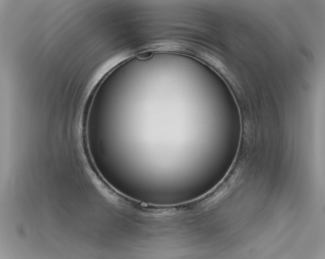 X0000115761426200911131146