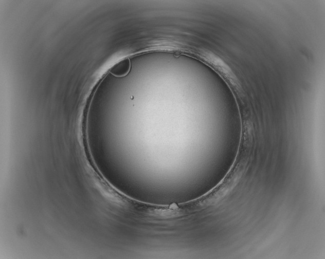 X0000115761427200911131146